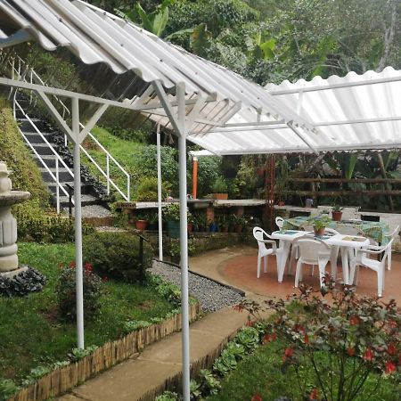 Bosque De Niebla Birding & Nature Cali Esterno foto