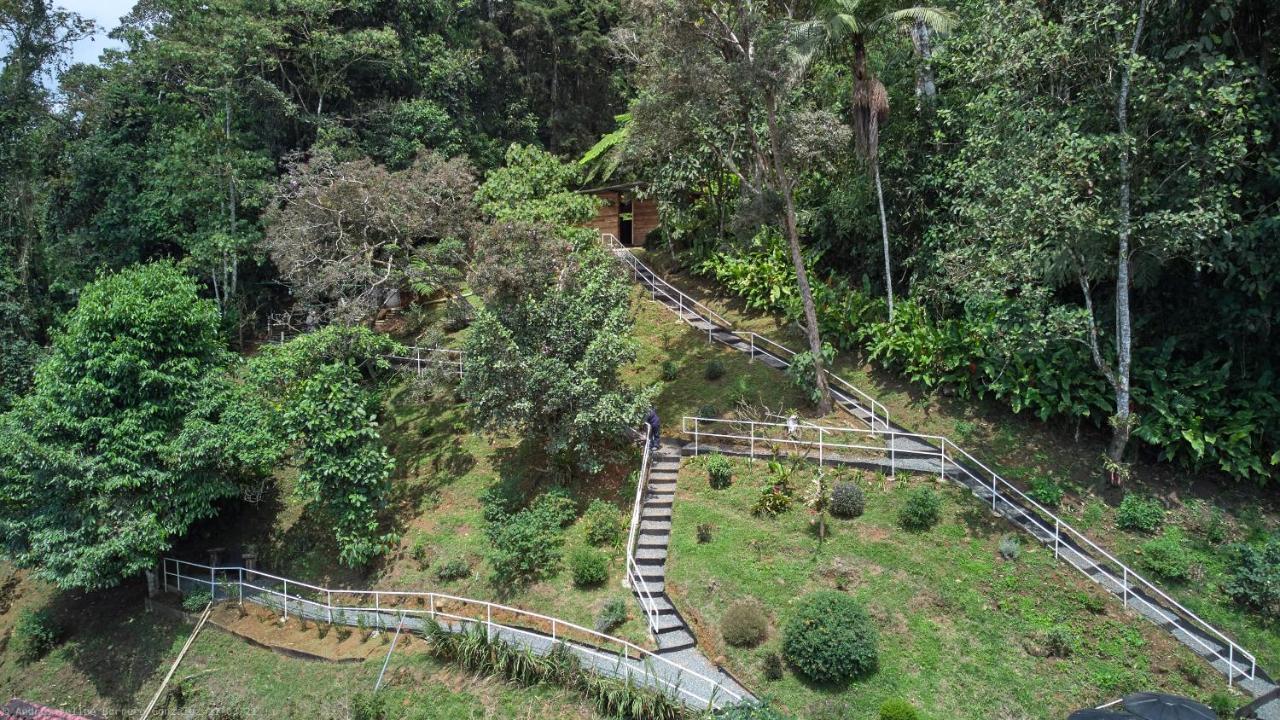 Bosque De Niebla Birding & Nature Cali Esterno foto