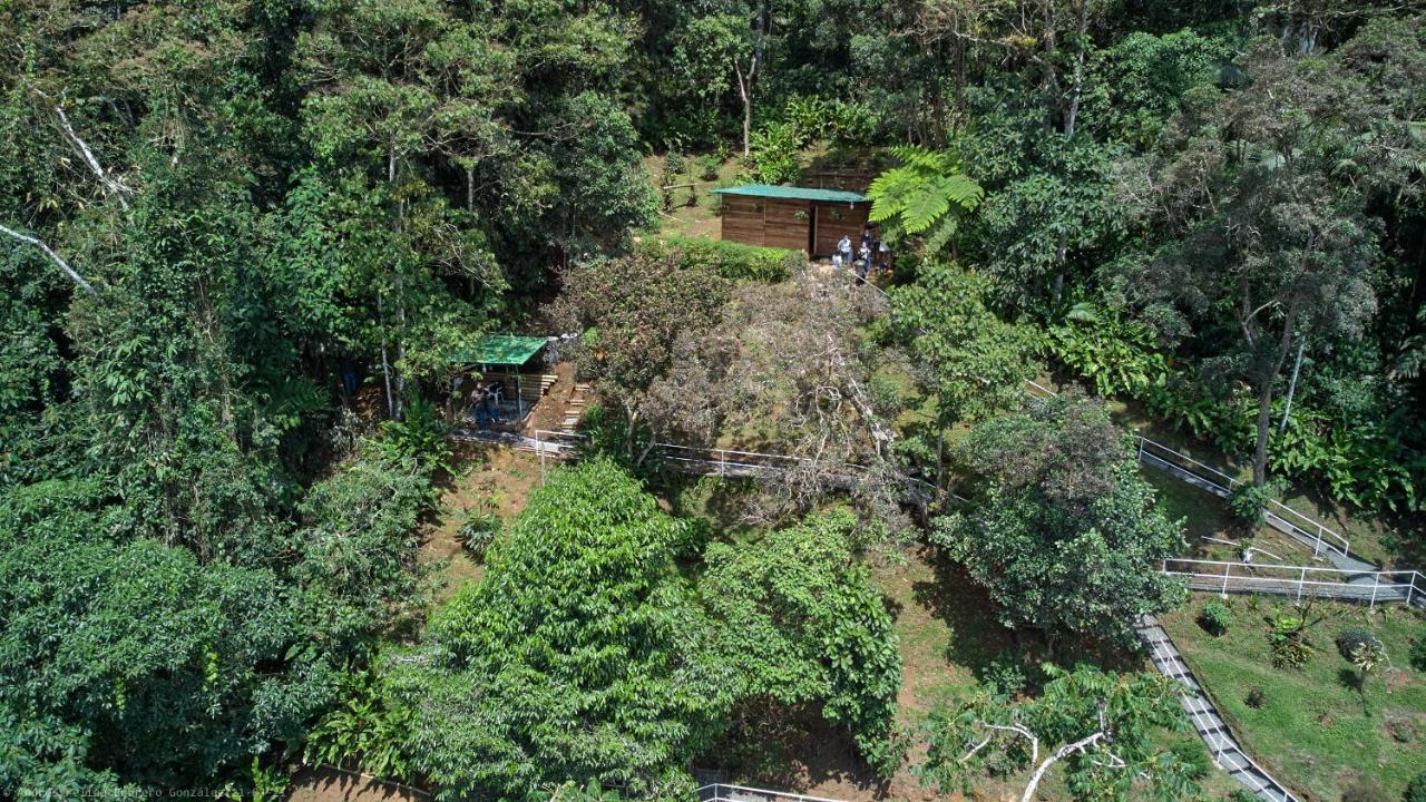Bosque De Niebla Birding & Nature Cali Esterno foto