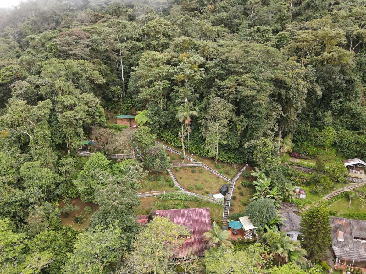 Bosque De Niebla Birding & Nature Cali Esterno foto