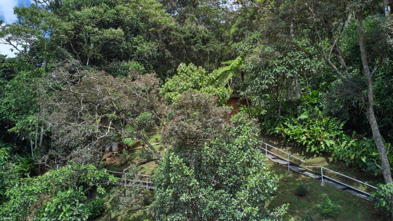 Bosque De Niebla Birding & Nature Cali Esterno foto